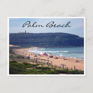 Carte Postale les eaux de la plage de palmiers