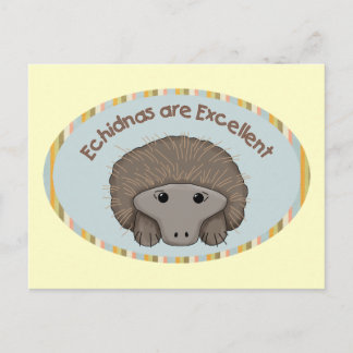 Carte Postale Les Echidnas sont excellents