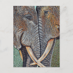 Carte Postale Les éléphants n'oublient jamais