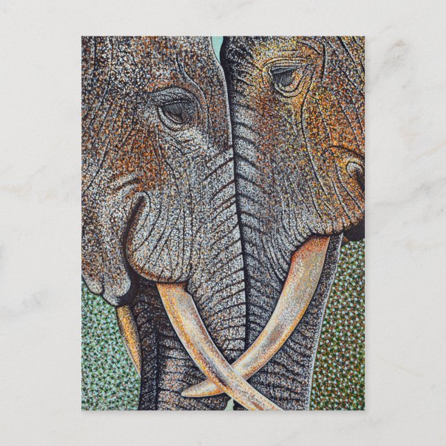 Carte Postale Les éléphants n'oublient jamais (Devant)