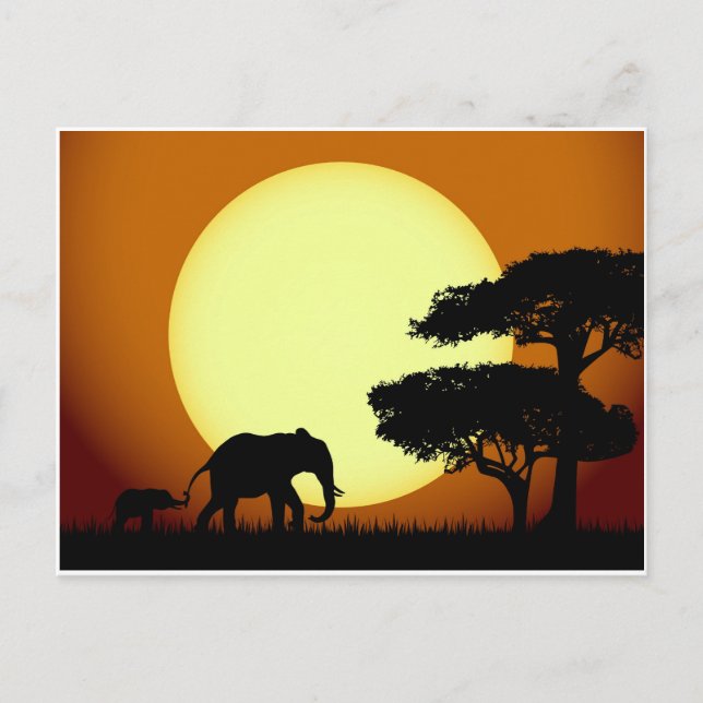 Carte Postale Les éléphants Safari au coucher du soleil (Devant)