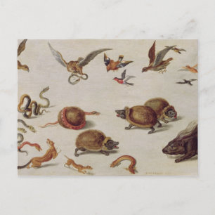 Carte Postale Les ennemis des serpents