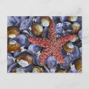 Carte Postale Les Etats-Unis, Washington, canal de capot,