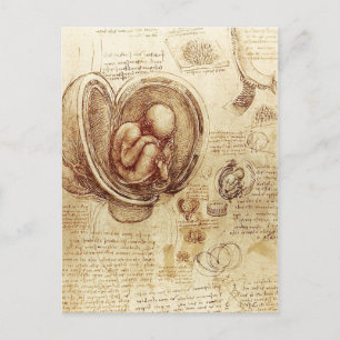 Carte Postale Les Études de Vinci
