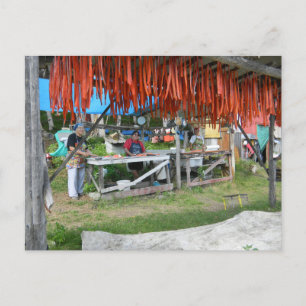 Carte Postale Les Femmes Autochtones Préparent Le Saumon Pour Le