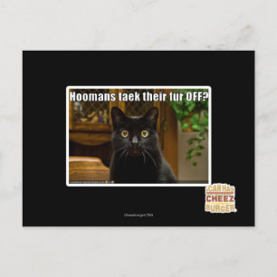 Carte Postale Les femmes de chambre s'en vont-elles ?