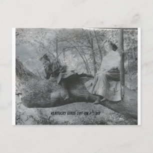 Carte Postale Les filles du Kentucky sur un membre