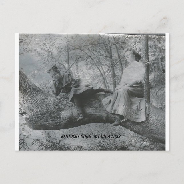 Carte Postale Les filles du Kentucky sur un membre (Devant)