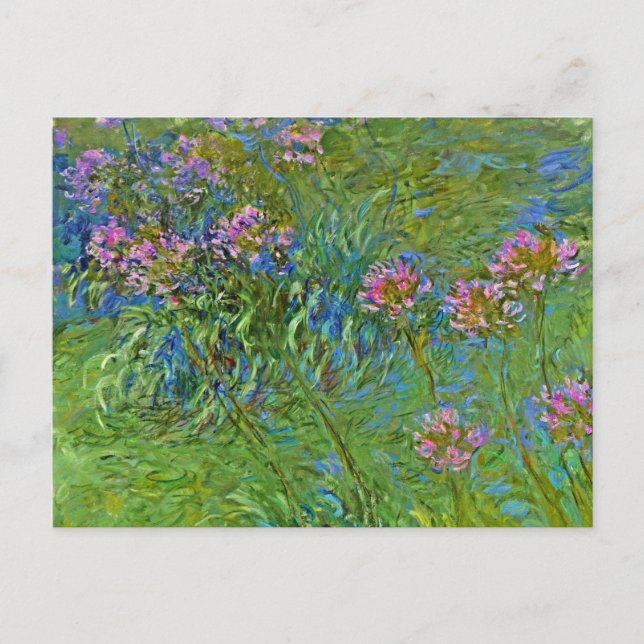 Carte Postale Les fleurs Agapanthus de Monet (Devant)