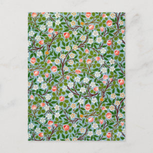 Carte Postale Les fleurs du printemps