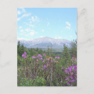 Carte Postale Les fleurs et la montagne