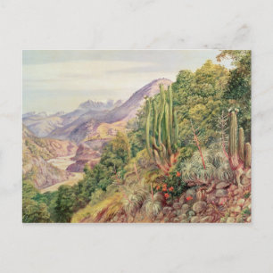 Carte Postale Les flux de langues dans la Cordellera, Chili