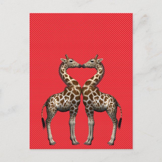 Carte Postale Les girafes amoureuses (Devant)