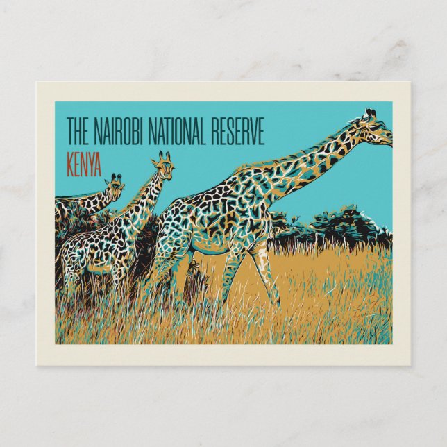 Carte Postale Les girafes du Kenya dans la réserve nationale de  (Devant)