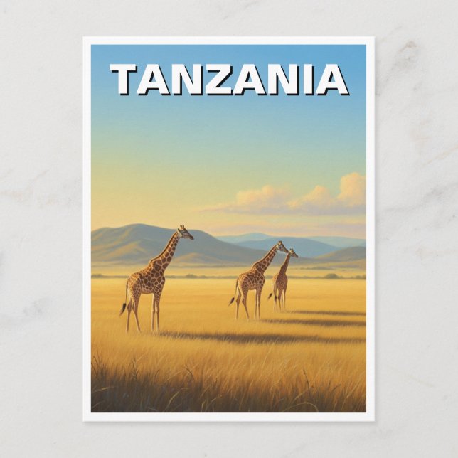 Carte Postale Les Giraffes du Parc National du Serengeti en Tanz (Devant)