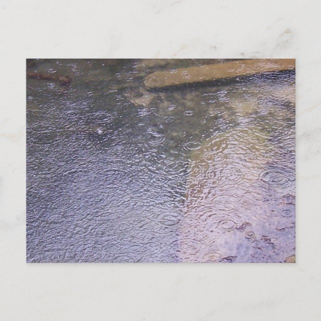 Carte Postale Les gouttes de pluie dans une flaque (Devant)