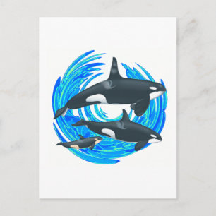 CARTE POSTALE LES GRANDS PODS