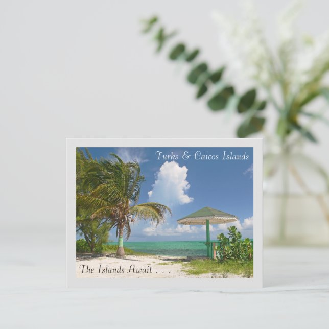 CARTE POSTALE LES ÎLES ATTENDENT/LES TURQUES ET LES ÎLES CAÏCOS (Debout devant)