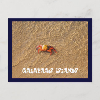 Carte Postale Les îles Galapagos