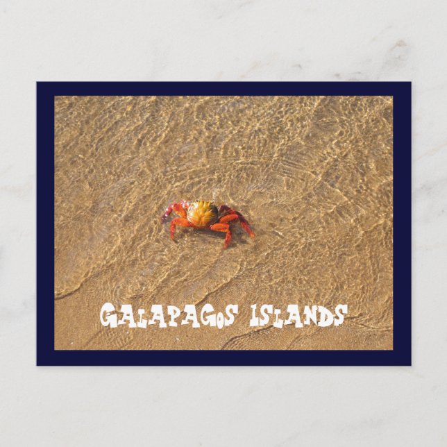 Carte Postale Les îles Galapagos (Devant)