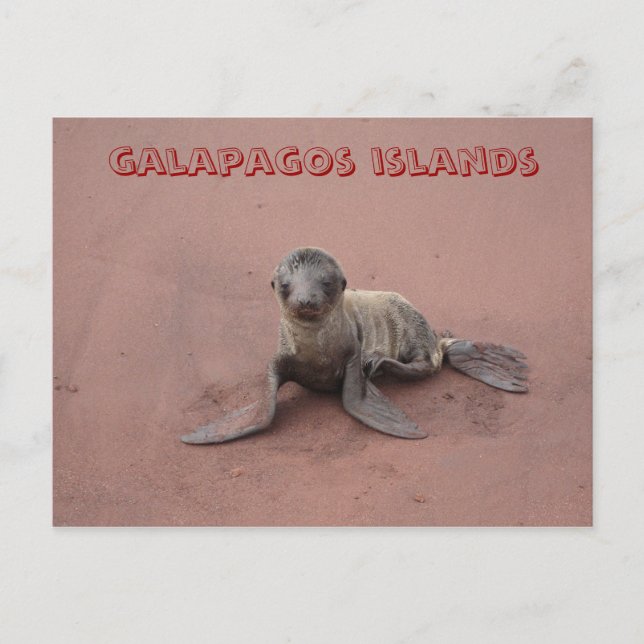 Carte Postale les îles galapagos (Devant)