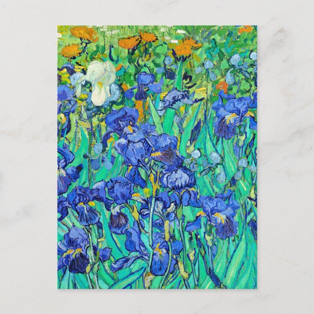 Carte Postale Les Iris de Van Gogh  (Devant)