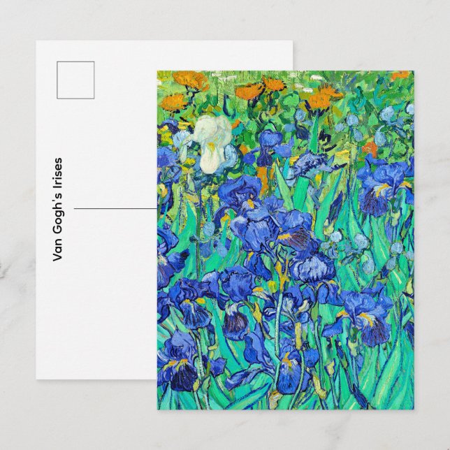 Carte Postale Les Iris de Van Gogh (Devant / Derrière)