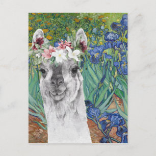 Carte Postale Les iris et la lama fantaisie de Van Gogh