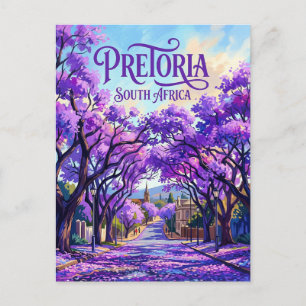 Carte Postale Les Jacarandas de Pretoria en Afrique du Sud