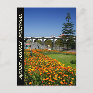 Carte Postale Les jardins de Ribeira Grande
