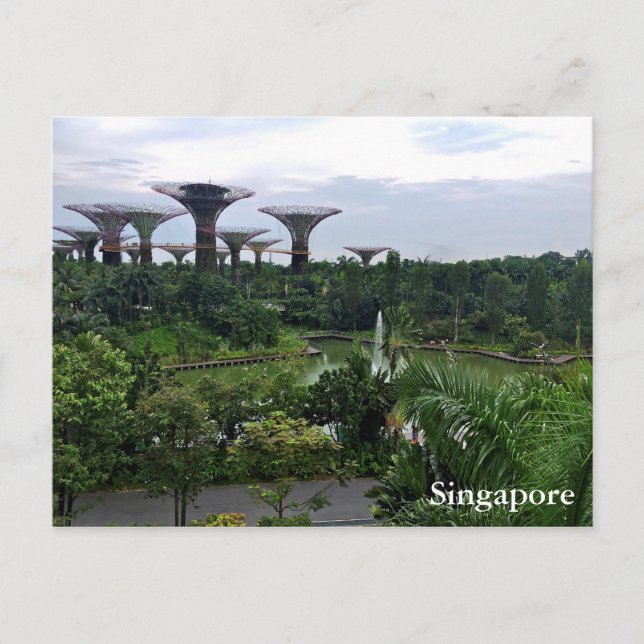 Carte Postale Les jardins de Singapour dans la baie (Devant)