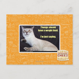 Carte Postale Les lanières devraient avoir une limite de poids