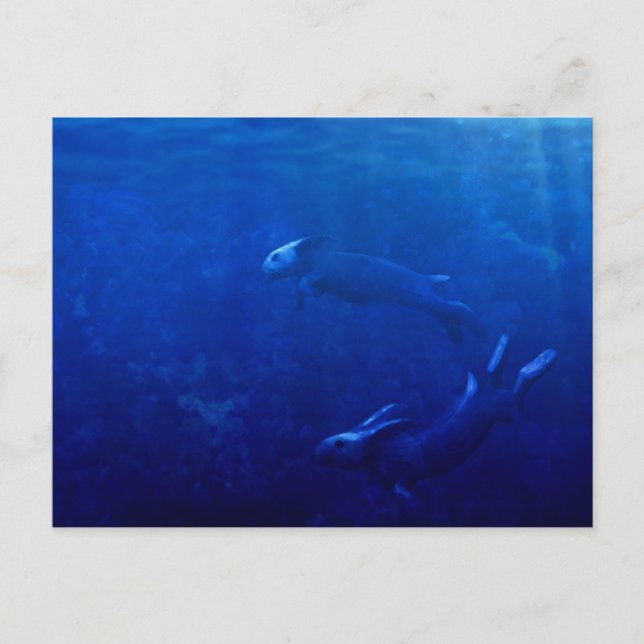 Carte Postale Les lapins de mer dansent sous les vagues (Devant)