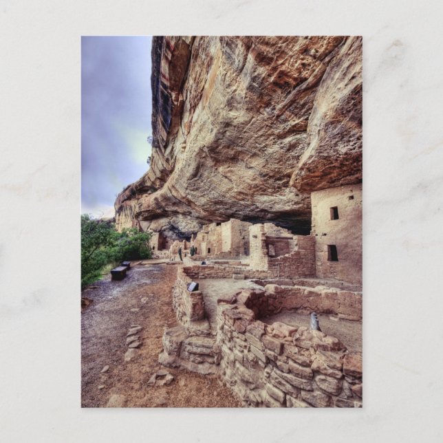 Carte Postale Les Logements de Mesa Verde Cliff (Devant)