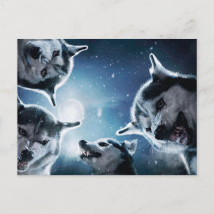 Carte Postale Les loups en colère et la lune