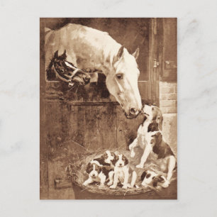 Carte Postale Les mères se saluent