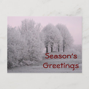 Carte Postale Les merveilles hivernales