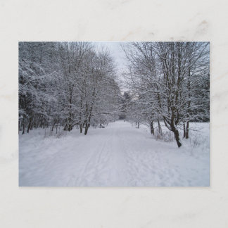 Carte Postale Les merveilles hivernales