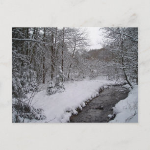 Carte Postale Les merveilles hivernales