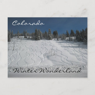Carte Postale Les merveilles hivernales du Colorado