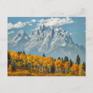 Carte Postale Les montagnes du Grand Teton à l'automne