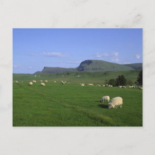 Carte Postale Les montagnes du Quiraing, l'île de Skye, les Haut
