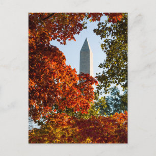 Carte Postale Les monuments   Washington Monument en automne