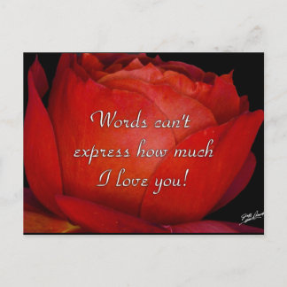 Carte Postale Les mots ne peuvent pas exprimer