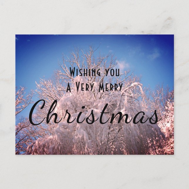 Carte Postale Les Neiges de Noël ! (Devant)