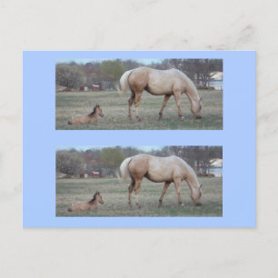 Carte Postale Les nouveaux marqueurs