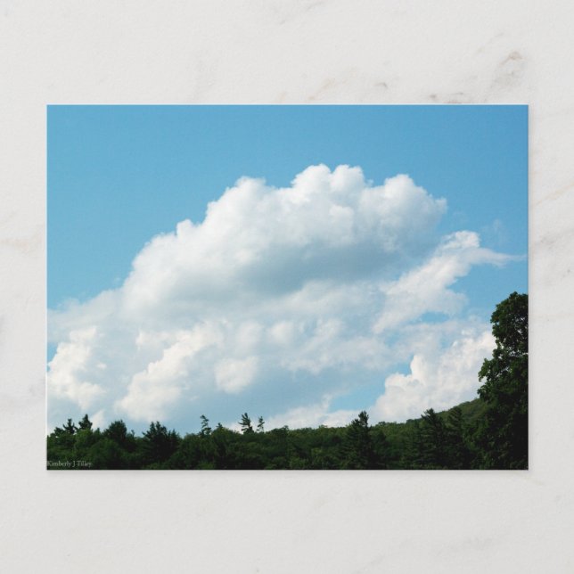 Carte Postale Les nuages rencontrent les arbres (Devant)