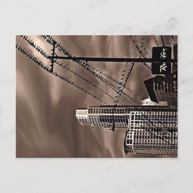 Carte Postale Les Oiseaux, Austin, TX (Devant)