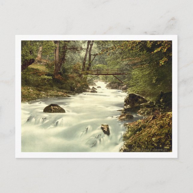 Carte Postale Les oiseaux d'Aberfeldy, Perth et Kinross, Écosse (Devant)