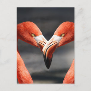 Carte Postale Les oiseaux élégants - le symbole de l'amour